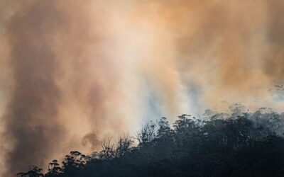 Regelgeving versus rentmeesterschap